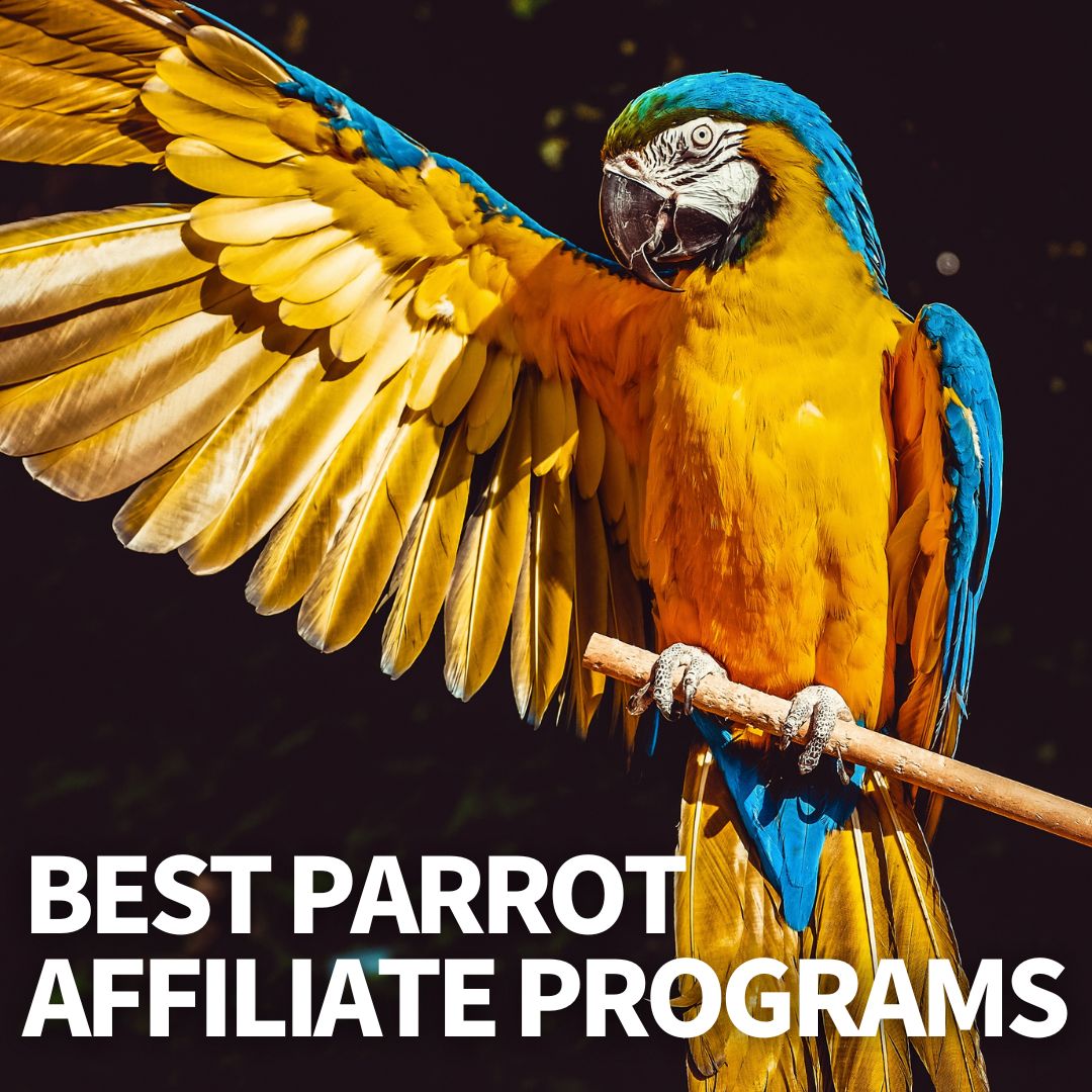 Parrot Affiliate Programs