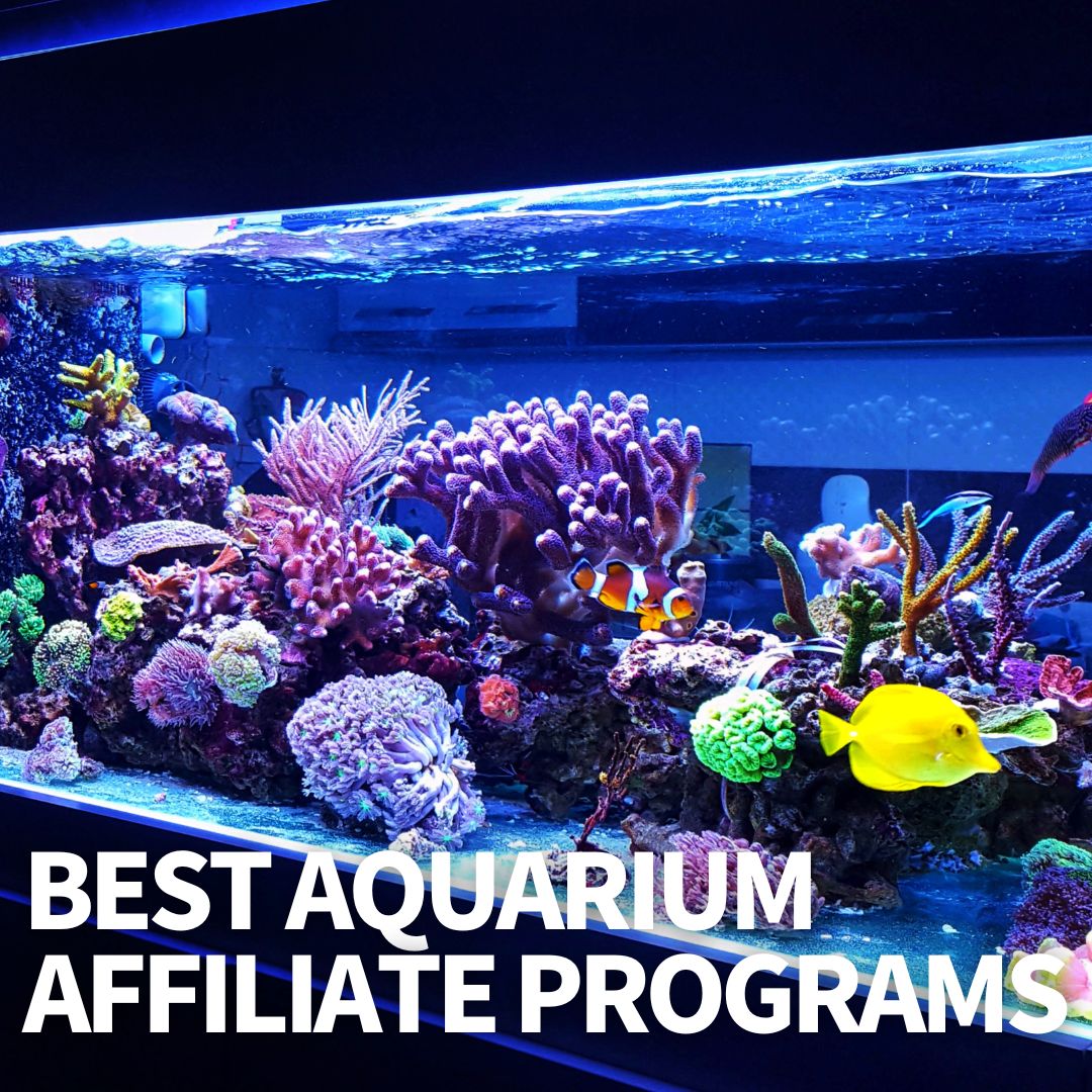 Aquarium Affiliate Programs